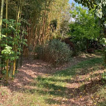 Demeure De Charme A La Campagne Villa Laruscade Exterior photo