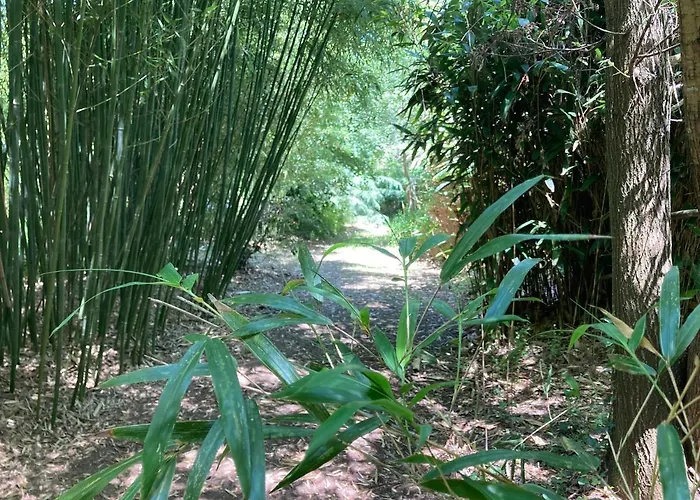 Demeure de charme à la campagne