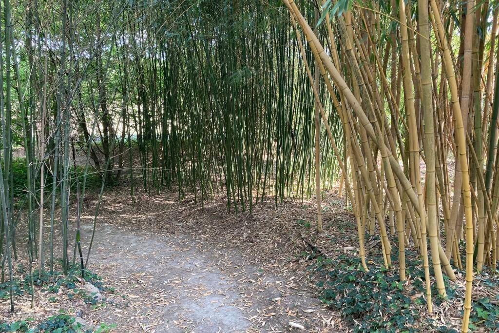 Demeure De Charme à La Campagne
